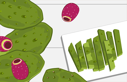 Nopal cactus paddle and fruits, peeled and cut on the table. National Mexican cuisine food ingredient. Hand drawn cartoon style vector illustration.