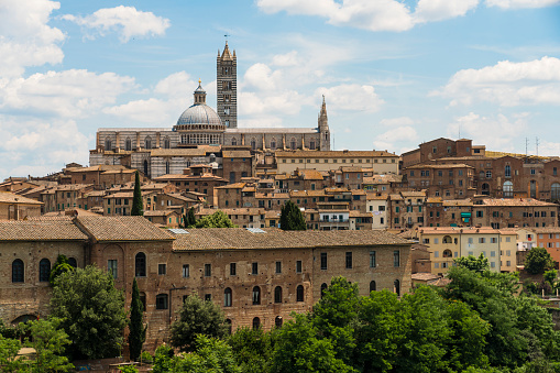 High angle view of Piazza Piazza del Campo - Siena. Look from afar on houses and the cathedral in background.