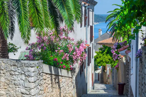 Photo of Traditional European Mediterranean architectural style in the streets and houses, yard, porches, stairs, shutters in the afternoon, surrounded by rhododendron, hydrangea and palm at summertime.Mali Losinj.