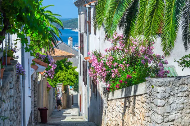 Photo of Traditional European Mediterranean architectural style in the streets and houses, yard, porches, stairs, shutters in the afternoon sunbeam, surrounded by vine, hydrangea and palm at summertime.Mali Losinj.