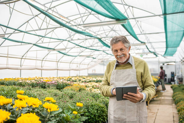 istock Senior man working in the greenhouse and using a digital tablet 1056906798