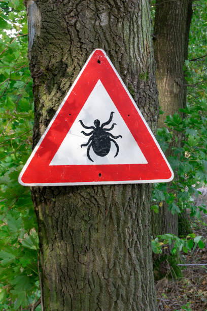 тик насекомых предупреждающий знак в лесу - lyme disease стоковые фото и изображения