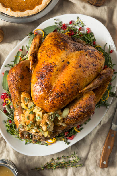 istock Whole Roasted Turkey Dinner For Thanksgiving 1056915102