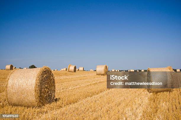 Golden Hay - zdjęcia stockowe i więcej obrazów Anglia - Anglia, Balot, Fotografika
