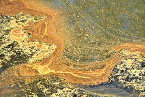 istock Polluted water in the pond 1056917916