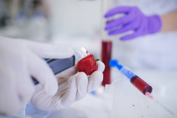 과학적 연구에 대 한 딸기를 절단 하는 장갑과 손의 닫습니다. - injecting healthy eating laboratory dna 뉴스 사진 이미지