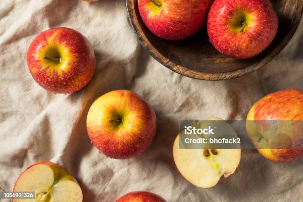 Raw Red Organic Envy Apples Stock Photo - Download Image Now - Agriculture,  Apple - Fruit, Autumn - iStock