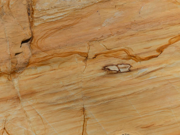 istock Cape Kiwanda Sandstone Wall at Pacific City Oregon for Backgrounds 1056924066