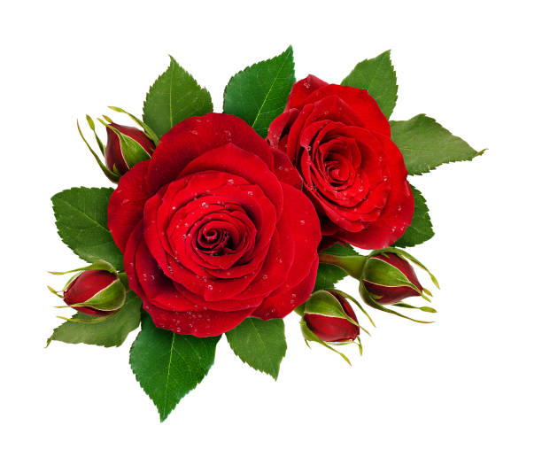 istock Floral composition with red rose flowers 1056925696