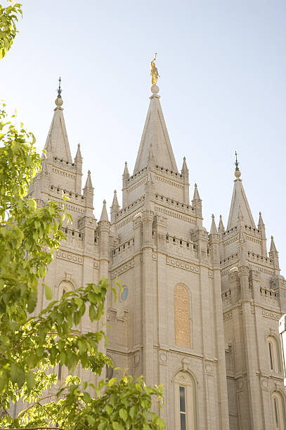 istock Salt Lake City Utah Temple Framed by Trees 105692807
