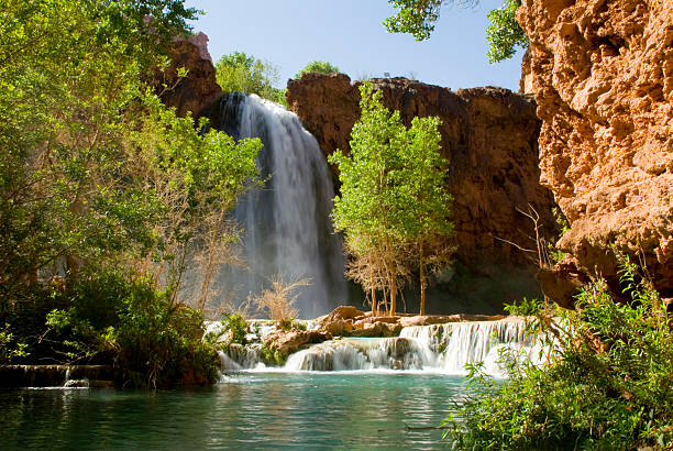 View of Havasu Falls from the Bottom of the Waterfall Havasu Falls - the famous waterfall on Havasu Creek located in the Grand Canyon in Arizona. havasupai indian reservation stock pictures, royalty-free photos & images