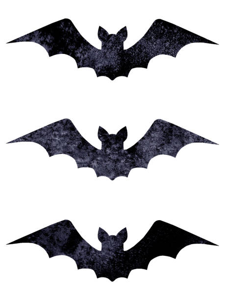 Halloween silhouettes of watercolor terrible bats isolated on white background vector art illustration
