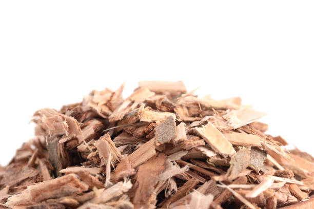 Willow Bark is Found in Nature and Used Medicinally for Various Ailments