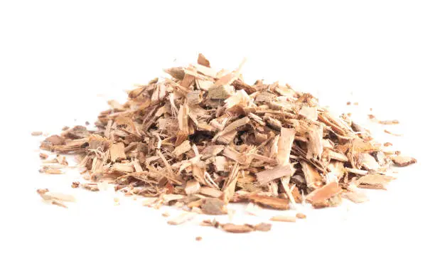 Willow Bark is Found in Nature and Used Medicinally for Various Ailments