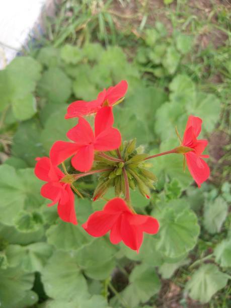istock Beautiful Nature Outdoors. 1056935718