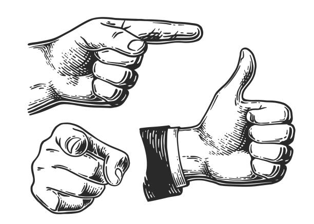 ilustraciones, imágenes clip art, dibujos animados e iconos de stock de gesto de la mano grabado set 3 - dedo ilustraciones