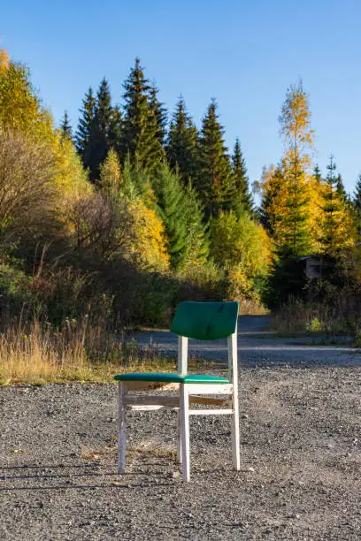 Single white wooden chair with green padded seat and backrest outdoors on gravel with autumn trees