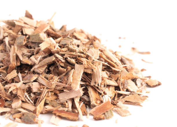 istock Willow Bark is Found in Nature and Used Medicinally for Various Ailments 1056944902