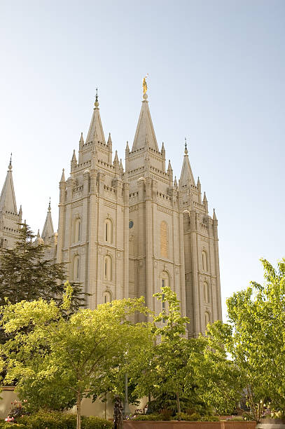 istock Salt Lake City Utah Temple with Trees in the Foreground 105694607