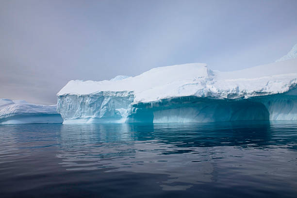 istock Icebergs in Paradise Bay, Antarctica 105694750