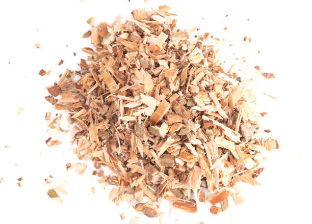 istock Willow Bark is Found in Nature and Used Medicinally for Various Ailments 1056947522
