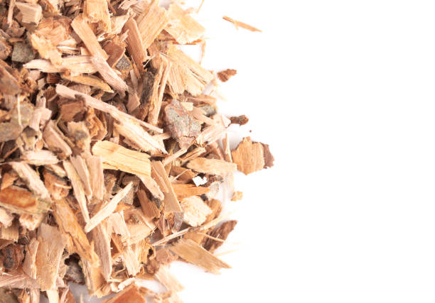 istock Willow Bark is Found in Nature and Used Medicinally for Various Ailments 1056947524
