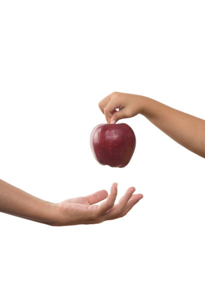 istock Apple and Young mother Hand with her sons hand 1056949574