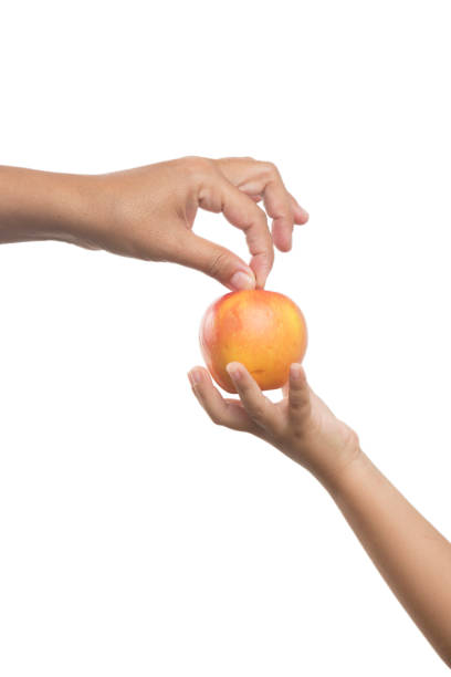 istock Apple and Young mother Hand with her sons hand 1056953410