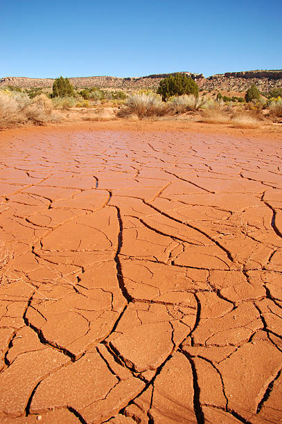istock Dry pond near Escalante, Utah 105696202