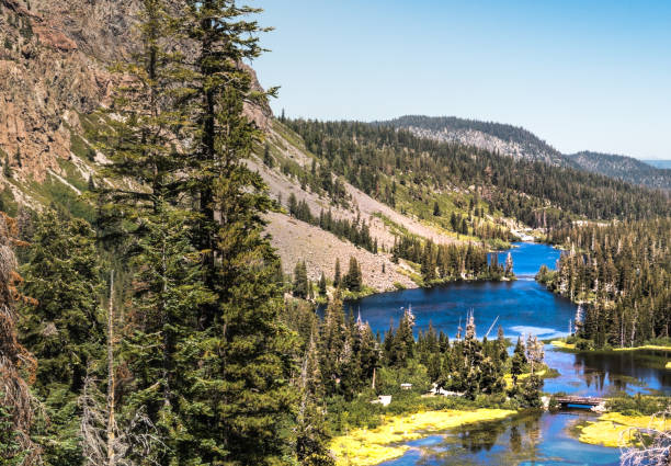 istock mountain valley with lake and pine tree 1056962254