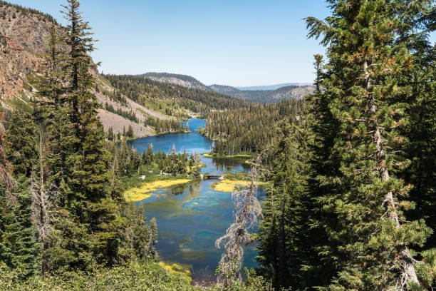 istock mountain valley with lake and pine tree 1056962310