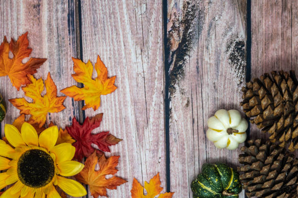 istock Fall background with copy space, pine cones, leaves, sunflower and gourds 1056962350