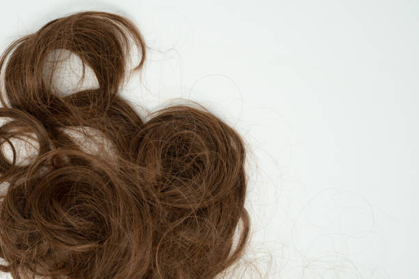 istock Curly messy brown human hair, tangled and left aligned. Isolated on white background 1056964054