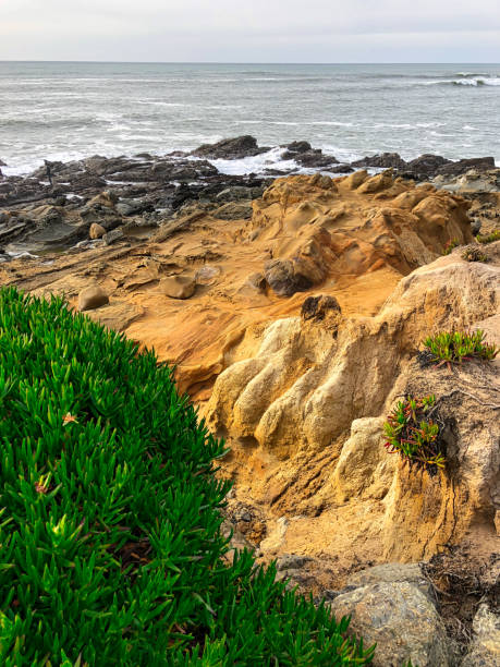 Bean Hollow State Beach Bean Hollow State Beach, California, USA bean hollow beach stock pictures, royalty-free photos & images