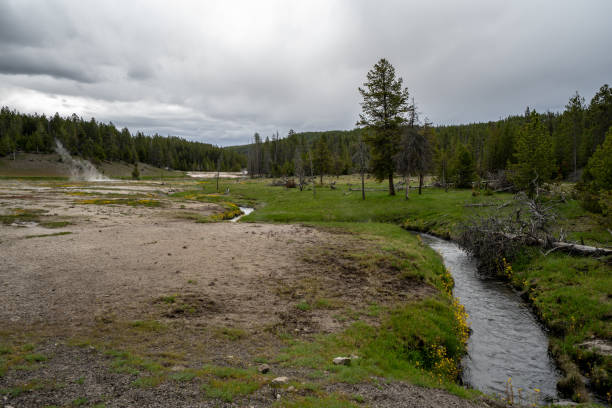 istock Beautiful meadow in Yellowstone National Park 1056969848