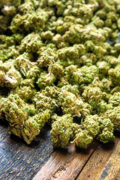 istock Heap of organic marijuana 1056971316