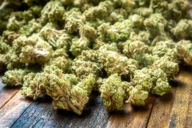 istock Heap of organic marijuana 1056971318