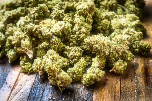 istock Heap of organic marijuana 1056972504