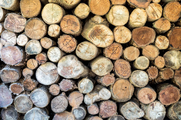 istock Full Frame Shot Of Logs 1056977930
