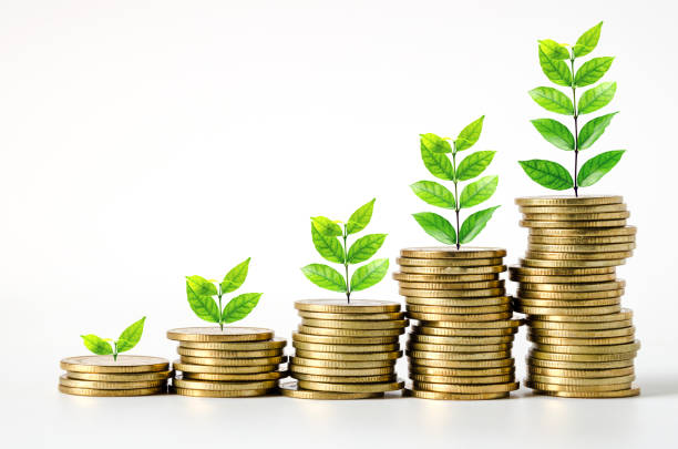 istock Stack Of Coins And Plants Representing Growth Over White Background 1056980258