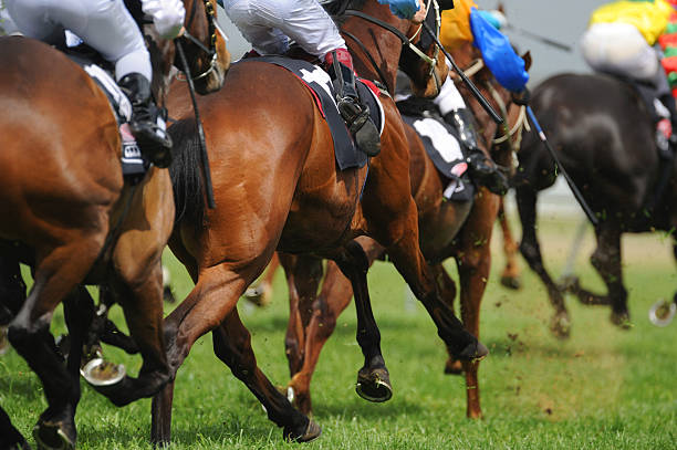 Horseracing A field of horses and jockeys during a race. animal care equipment photos stock pictures, royalty-free photos & images