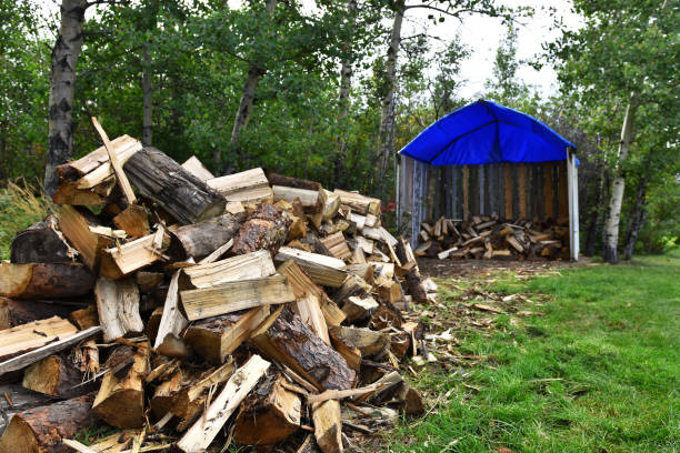 istock Wood Pile and Wood Storage Shed 1056987968