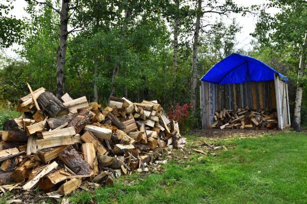 istock Wood Pile and Wood Storage Shed 1056988168
