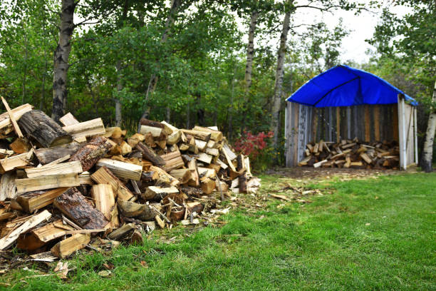 istock Wood Pile and Wood Storage Shed 1056988188