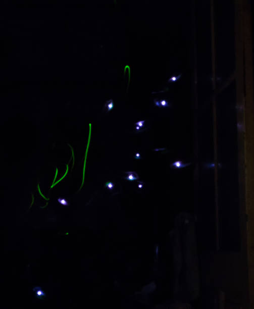 istock Killing flies with an electric paddle, long exposure 1056996778