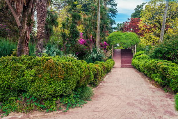 istock Empty Footpath Amidst Plants And Trees At Park 1057000998
