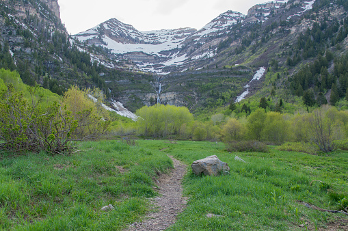 This is the view toward Stewart Falls next to the Sundance Resort in Utah.  The path to the falls is just opening up due to snow melt and lots of very cold water is coming down the falls.  It should be cold, it was snow only minutes earlier.