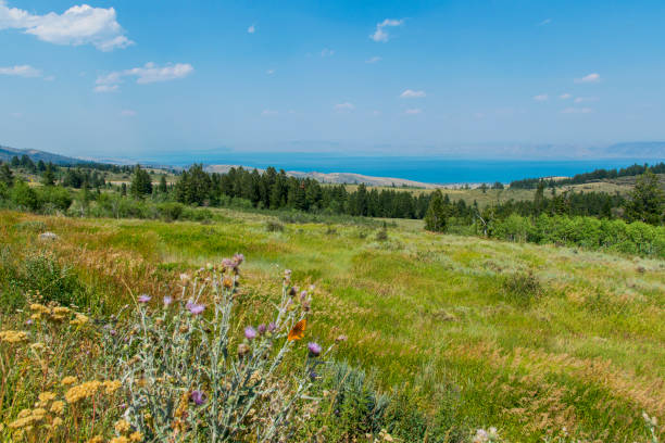 Bear Lake From the Mountaintop