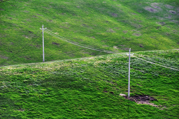 electricity transfer on the mountain pasture in the summer