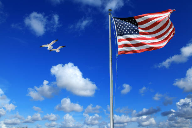 Conceptual image of waving American flag hanged at tall pole over blue sunny sky with flying birds